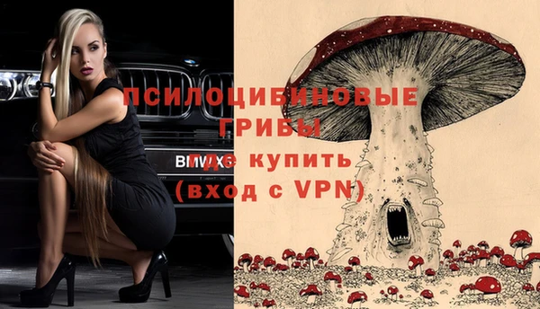 дживик Алзамай
