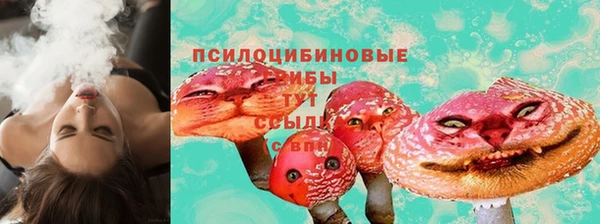 кокс Арсеньев